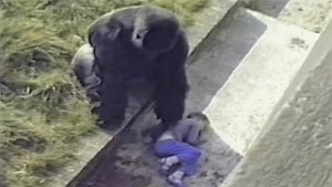 (Captura YouTube - Otras Fuentes)