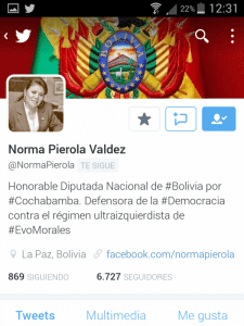 Norma Pierola diputada por Bolivia
