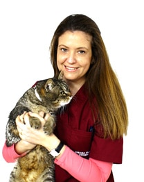 Susana González - perros esterilizados