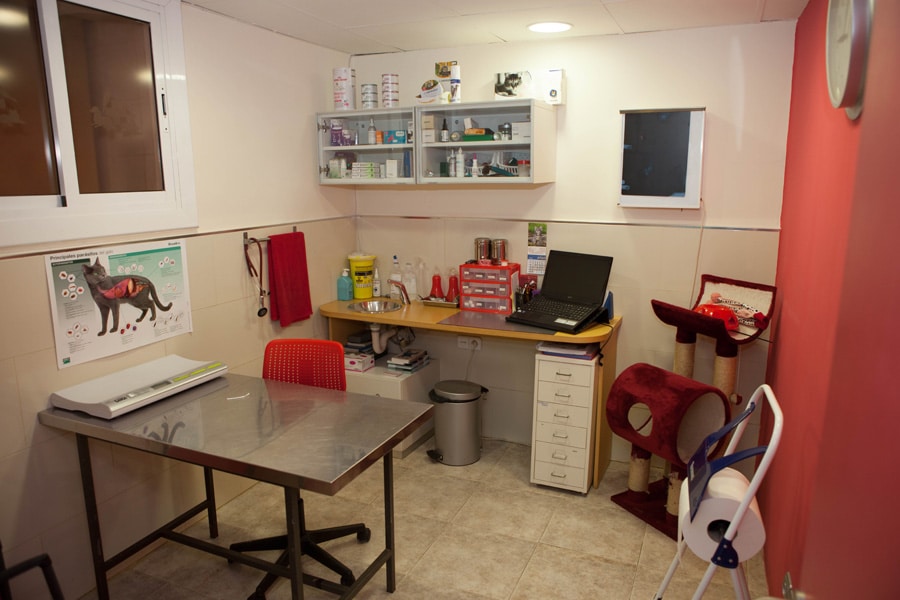 Clínica veterinaria