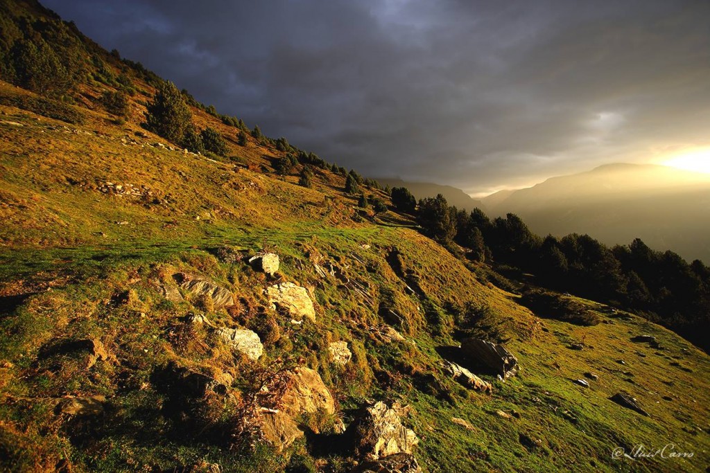 La luz en la fotografía por Lluís Carro