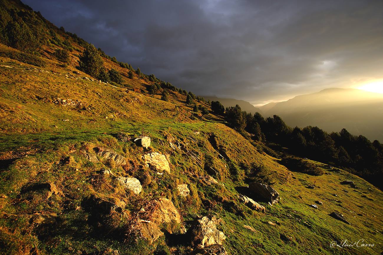 La luz en la fotografía por Lluís Carro