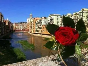 temps de flors temps de flors