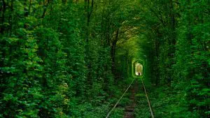 lugares-mas-increibles-túnel-del-amor