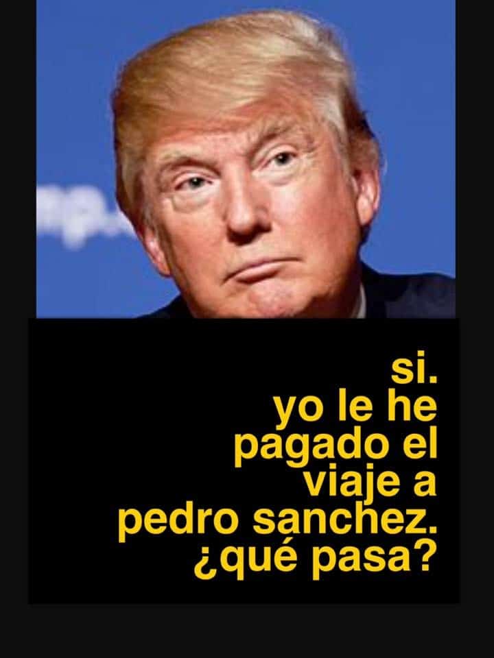 Memes: Elecciones EEUU