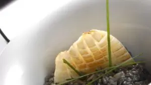 Arroz negro con sepia, un plato delicioso