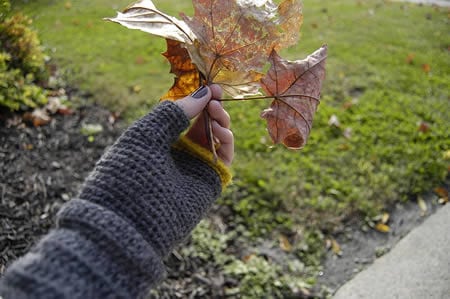 5 consejos para cuidar tu piel durante los meses de frío.