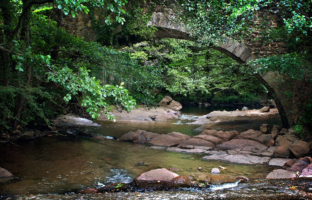 Los 5 Mejores destinos para disfrutar en otoño.
