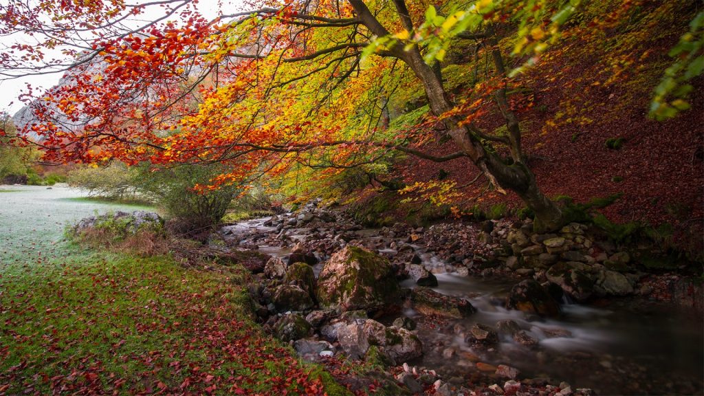 Los 5 Mejores destinos para disfrutar en otoño.