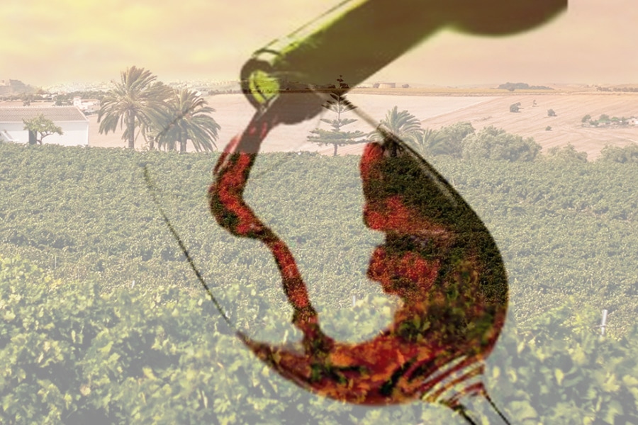 El origen de los vinos D.O Costers del Segre