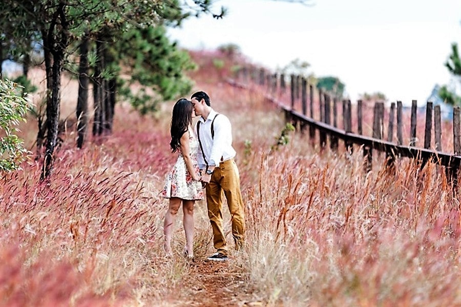 Cómo encontrar tu pareja ideal en Wikicitas