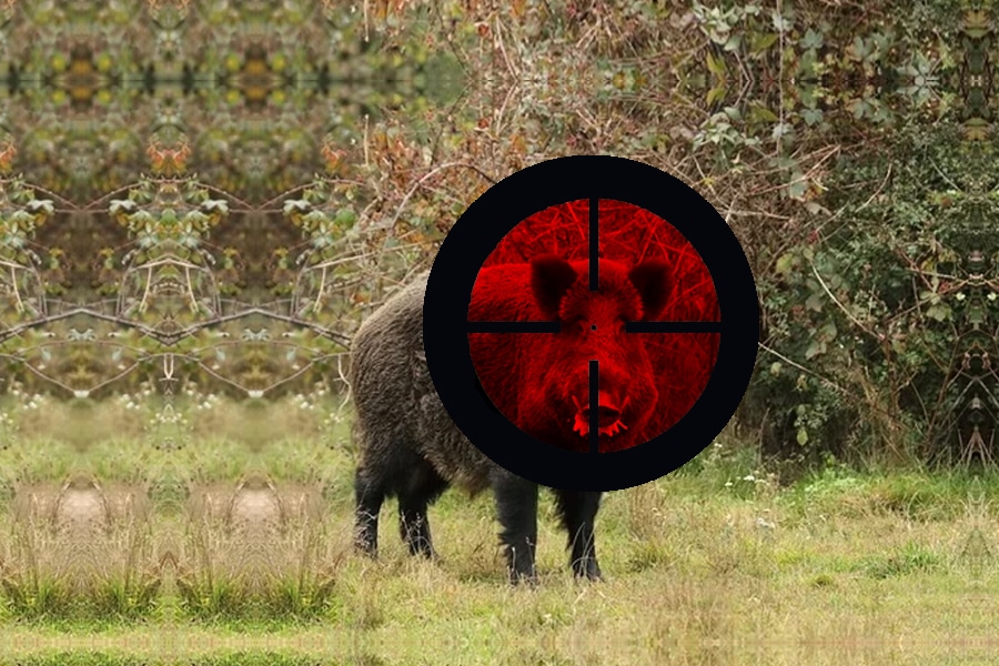 Estás de acuerdo en blindar la caza en España