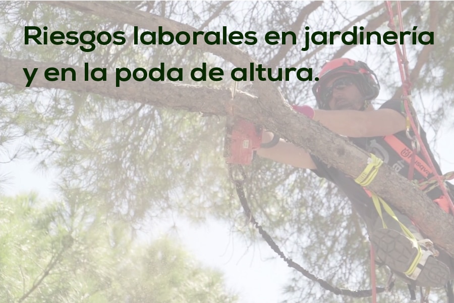 Riesgos laborales relacionados con la jardinería-1