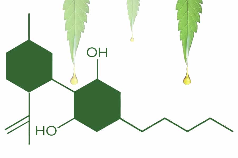 CANNABIDIOL, UN REMEDIO NATURAL PARA NUESTRO ORGANISMO. CANNABIDIOL, UN REMEDIO NATURAL PARA NUESTRO ORGANISMO.