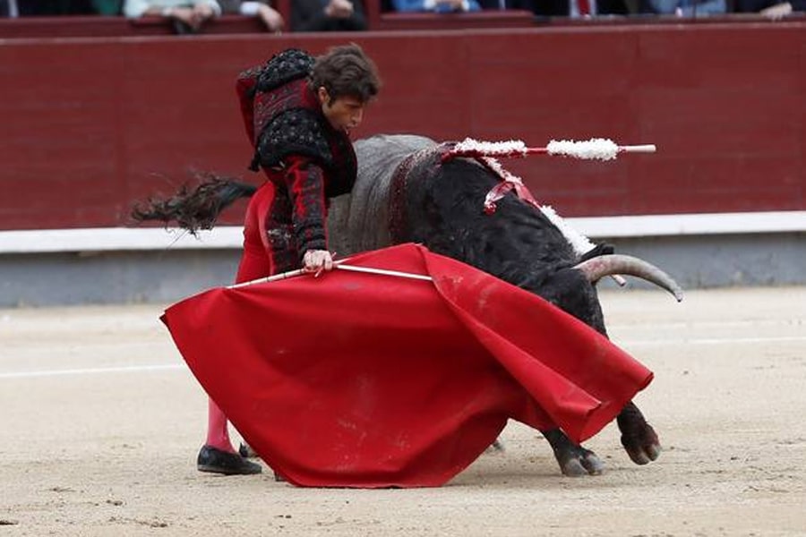 Referéndum sobre las corridas de toros