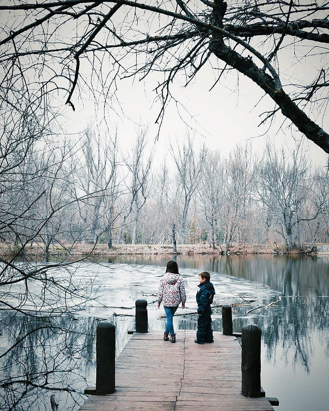 Los 5 Bosques más bonitos de España en Otoño-1 (5) Los 5 Bosques más bonitos de España en Otoño