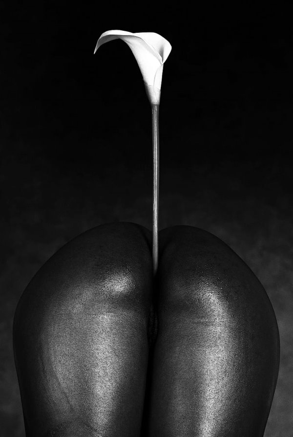 Las Utilidades Orgánicas. Foto de la exposición en Tarragona