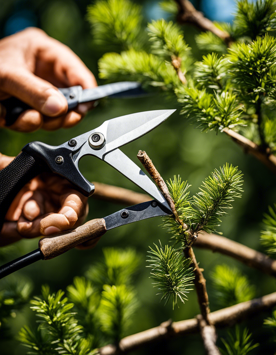 Cómo evitar errores comunes en la poda de árboles