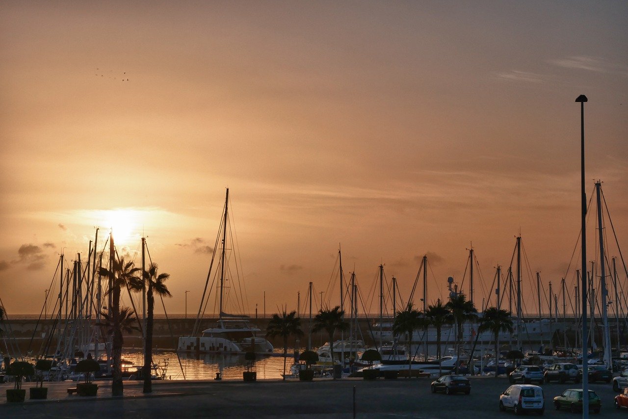 Segunda mano Tenerife: Tu portal para descubrir oportunidades y hallazgos únicos