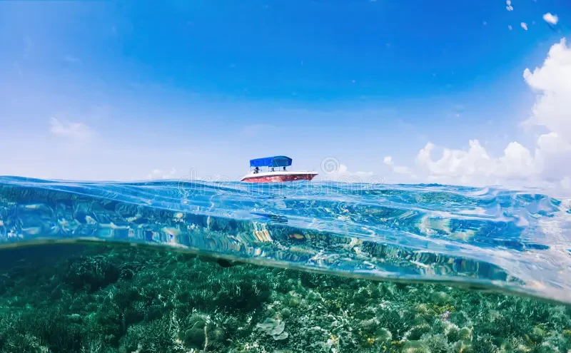 El verdadero costo de tener una lancha de fin de semana y cómo evitar que te estafen